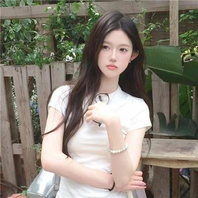 大象之梦